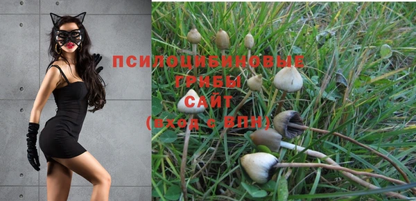 тгк Балахна