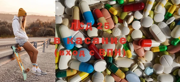 PSILOCYBIN Балабаново