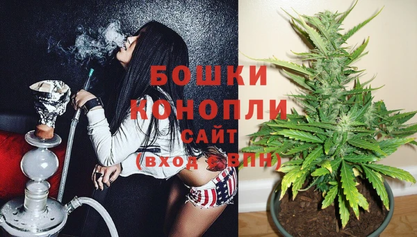 PSILOCYBIN Балабаново