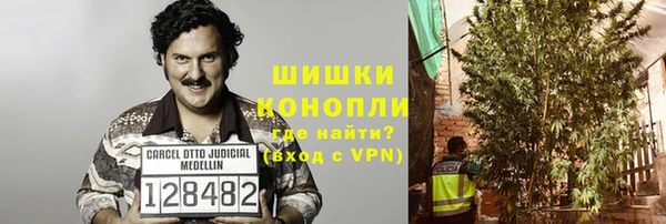 PSILOCYBIN Балабаново