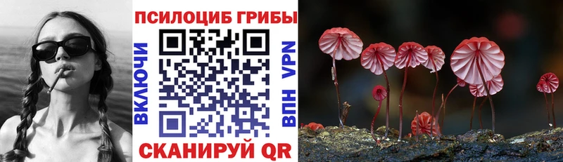 Псилоцибиновые грибы MAGIC MUSHROOMS где найти Болхов